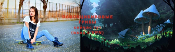 apvp Алзамай